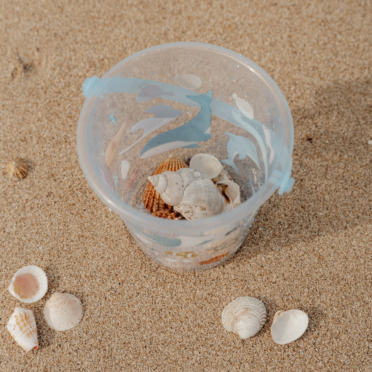 Kindersandeimer mit Muscheln gefüllt