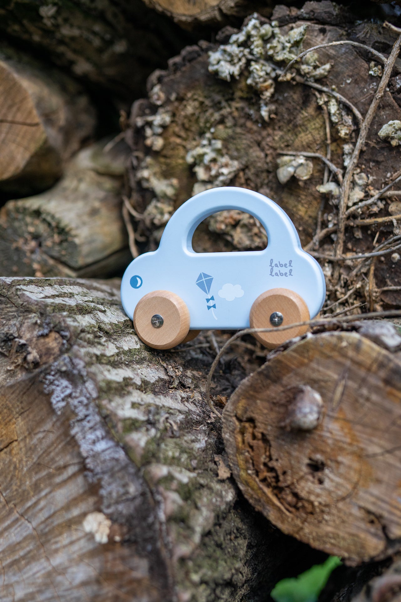 Holz Auto Blau