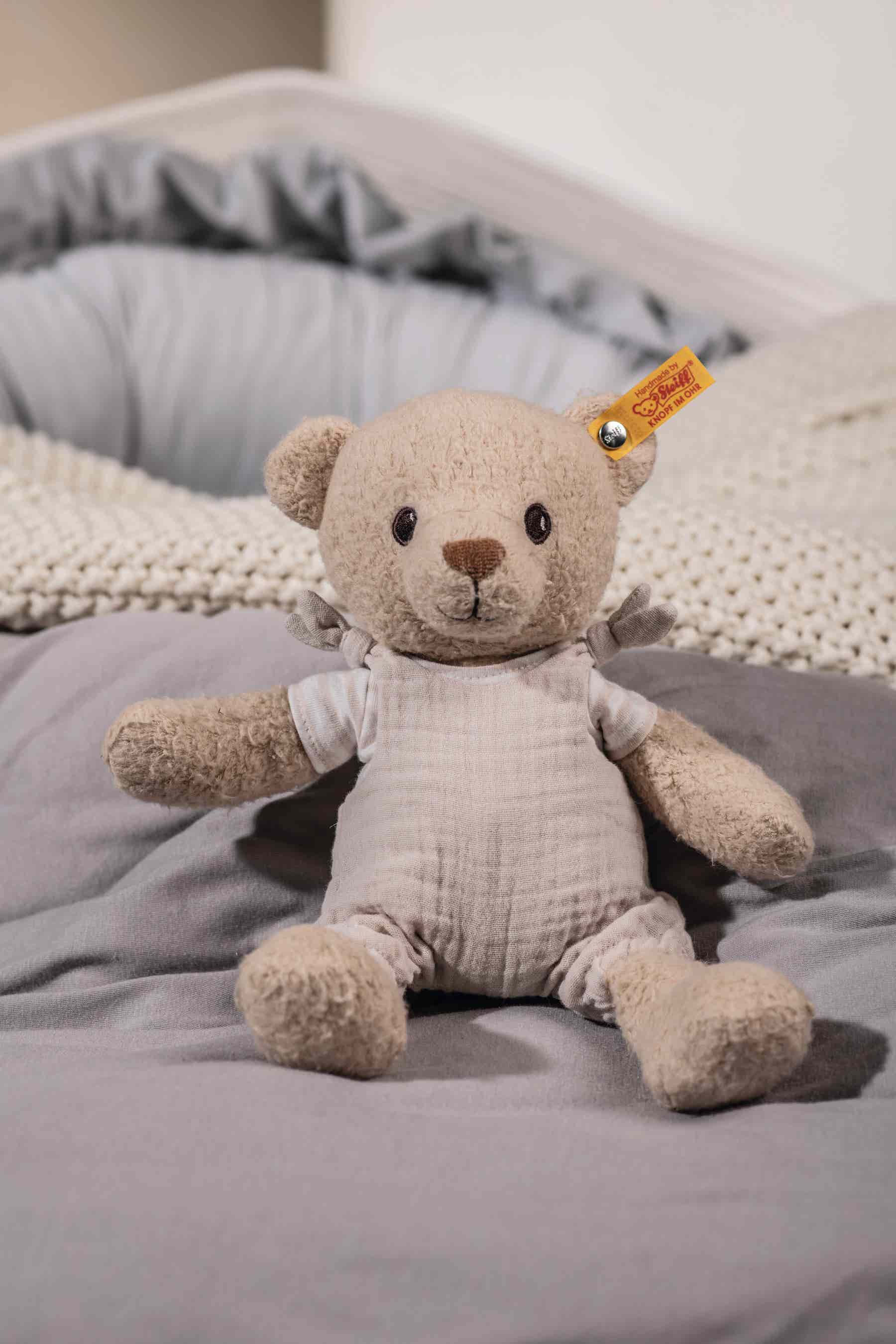 GOTS Noah Teddybär
