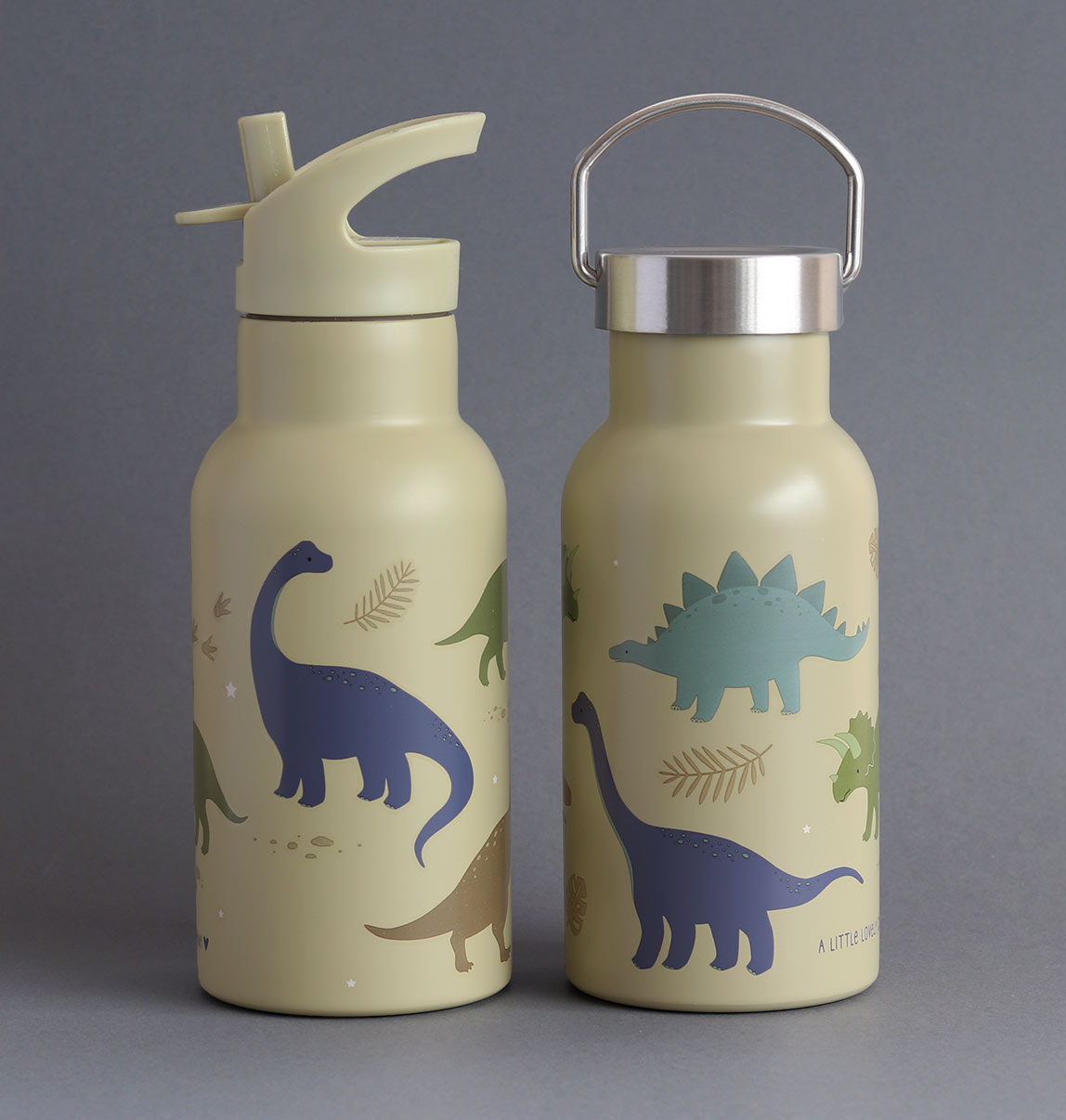 Edelstahl-Trinkflasche: Dinosaurier